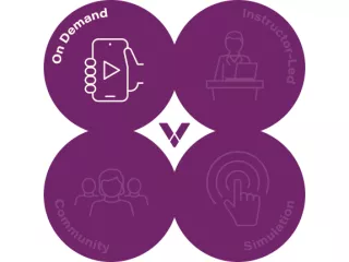 On-demand VLS graph